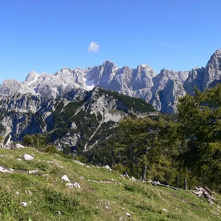 Pod Ponco * Kranjska Gora