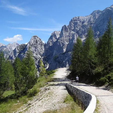 Pod Ponco Apartment Kranjska Gora