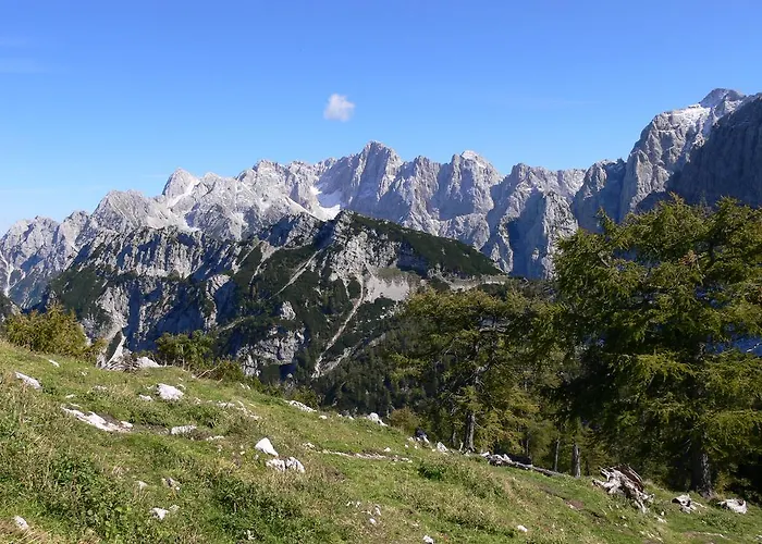 Pod Ponco * Kranjska Gora
