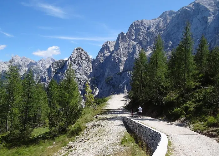 Pod Ponco Appartement Kranjska Gora