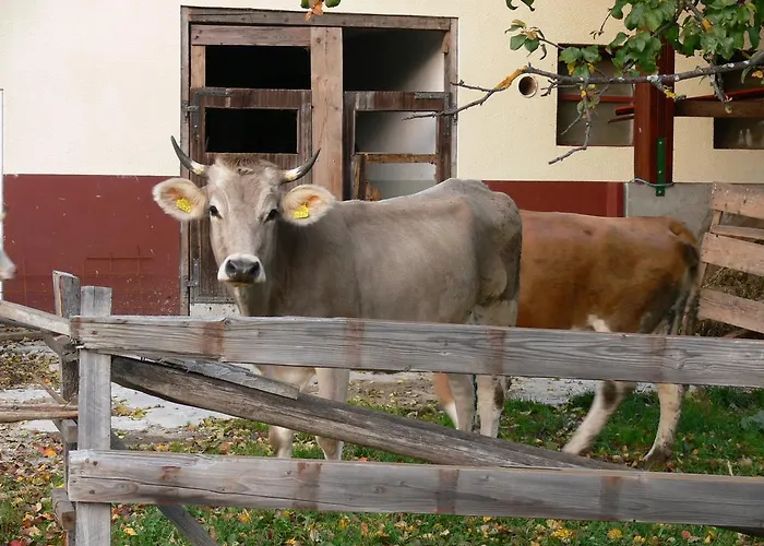 Pod Ponco Апартаменты